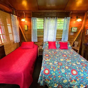 Judy House And , Negril Jamaica